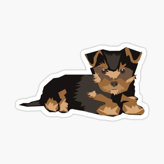 Discover Resting Yorkie