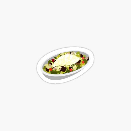 Discover Burrito Bowl
