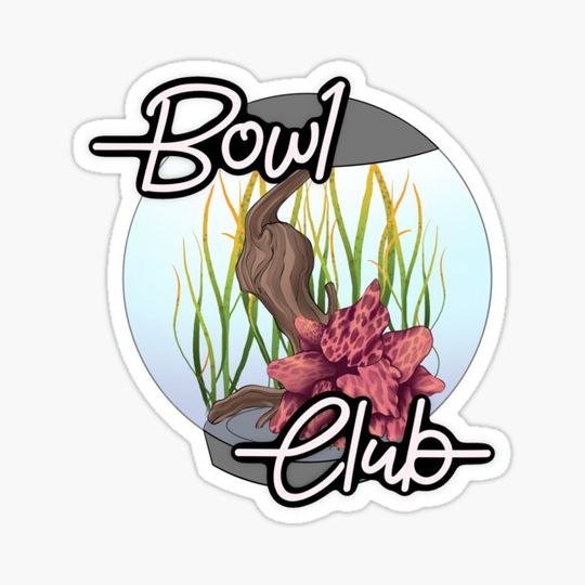 Discover Bowl Club