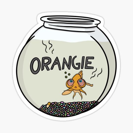 Discover Orangie the Fish