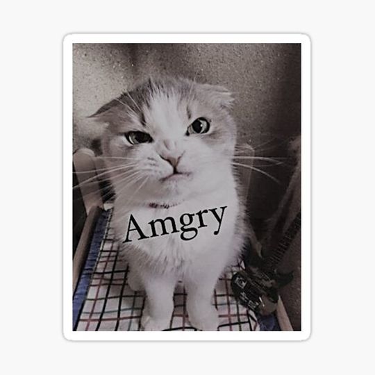 Discover Angry Cat