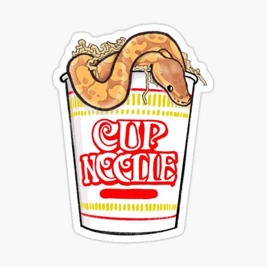 Discover Ball Python cup of noodle