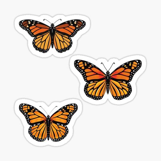 Vibrant Monarch Butterflies