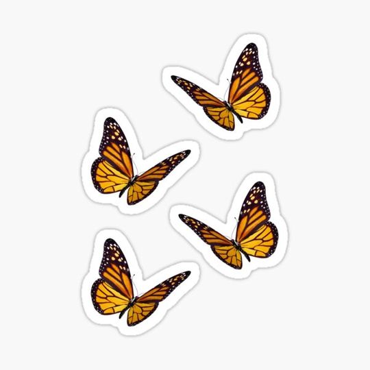 Discover Butterfly Sticker Set
