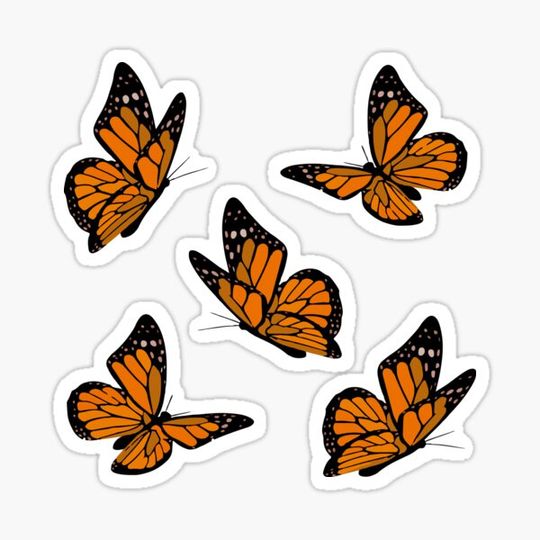 Discover Monarch Butterfly Orange Aesthetic