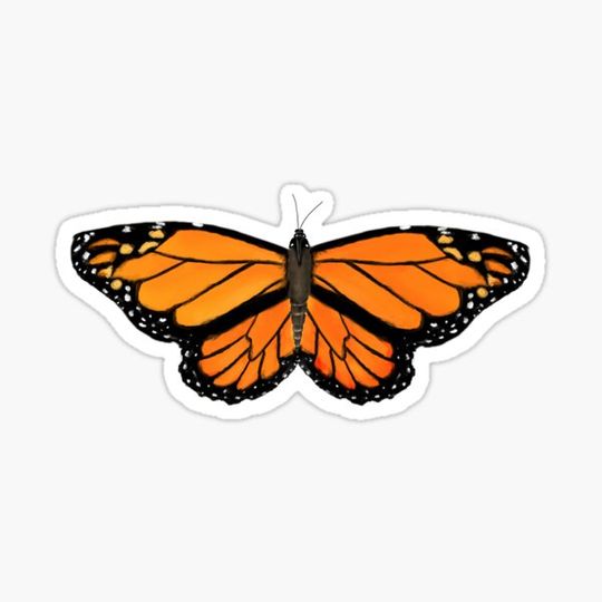 Discover Monarch Butterfly