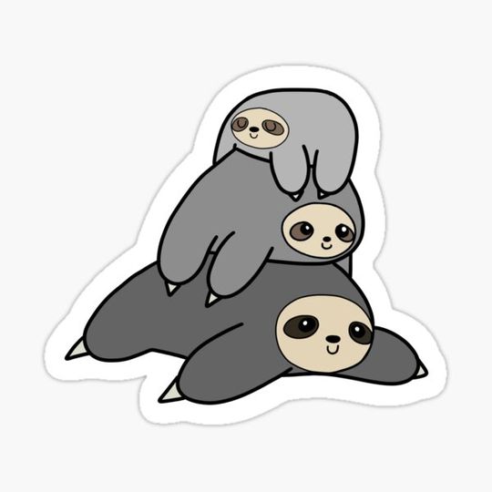 Discover Sloths