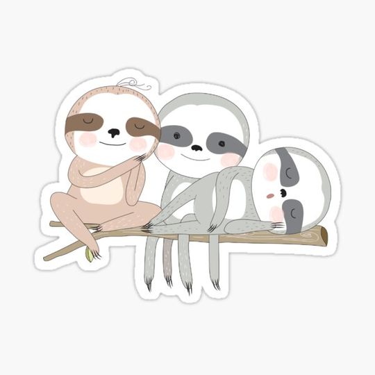 Discover Cute Sloths Out on a Limb