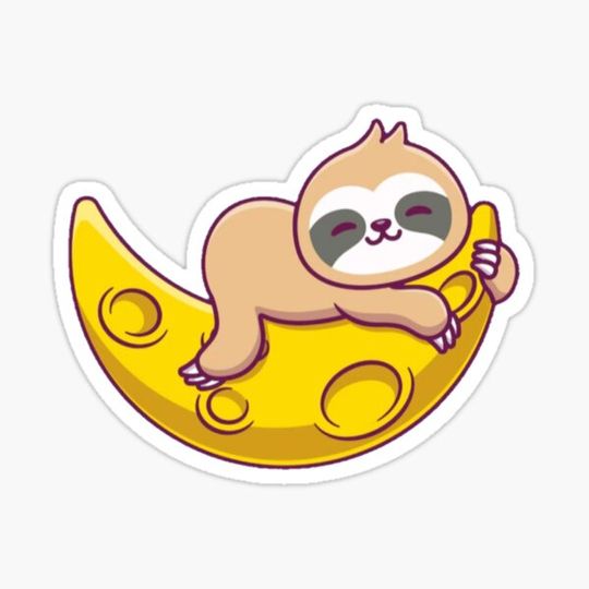 Discover Funny Sloth