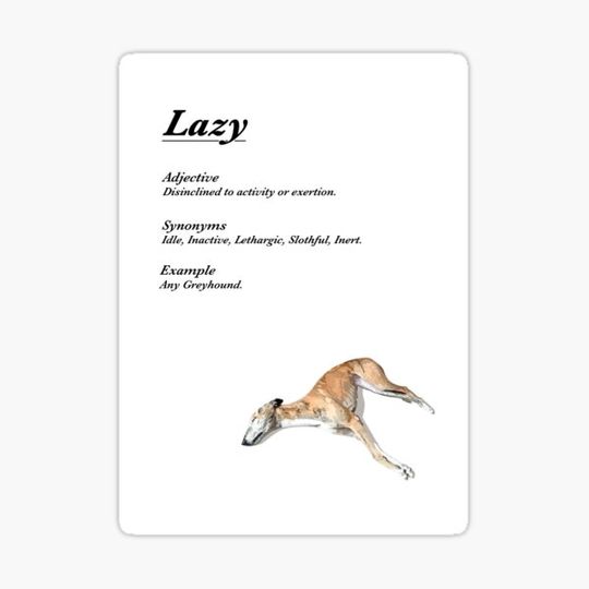 Discover Lazy Definition (Greyhound Humour)