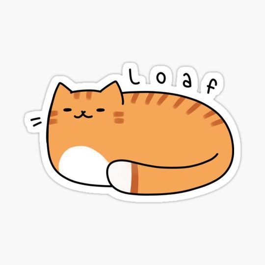 Discover loaf