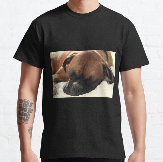 Discover Afternoon Nap - Boxer Dogs Series