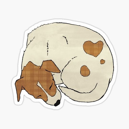 Discover Jack Russell sleeping