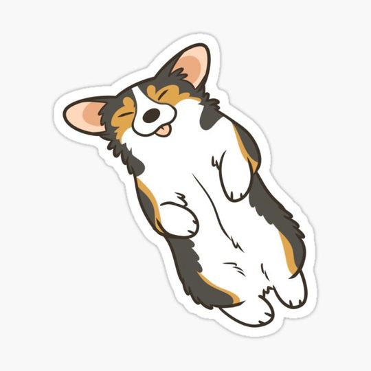 Discover Sleeping Corgi