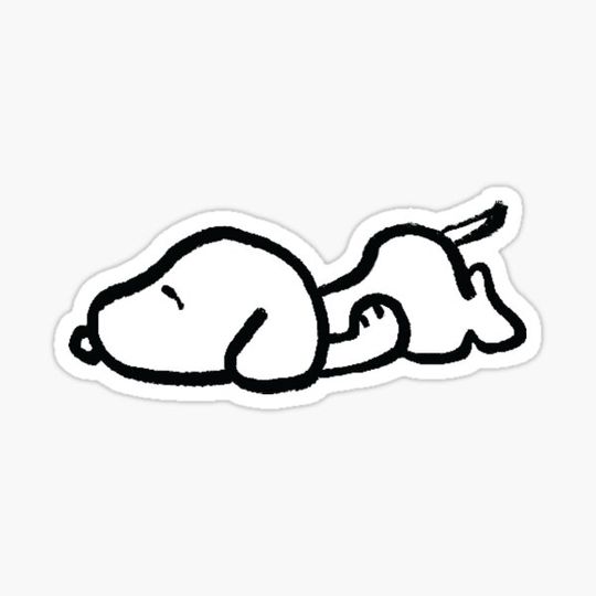 Discover White Dog