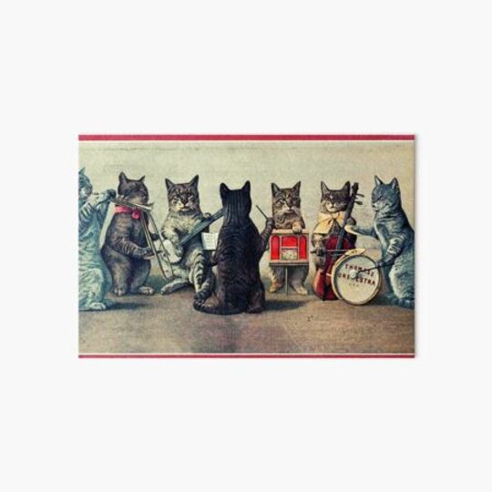 Discover Musical Cats