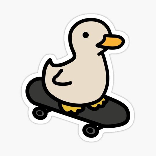 Discover Duck skateboarding, funny duck,