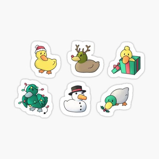 Discover Christmas ducks