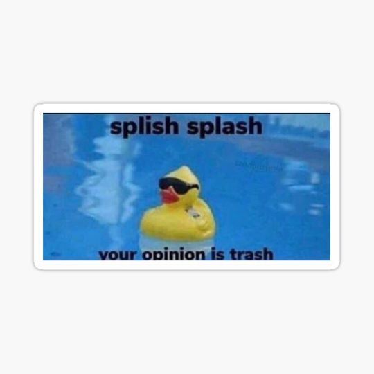 Discover Splish Splash Your Opinion is Trash