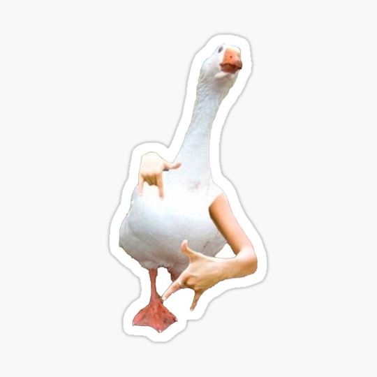 Discover Epic Duck