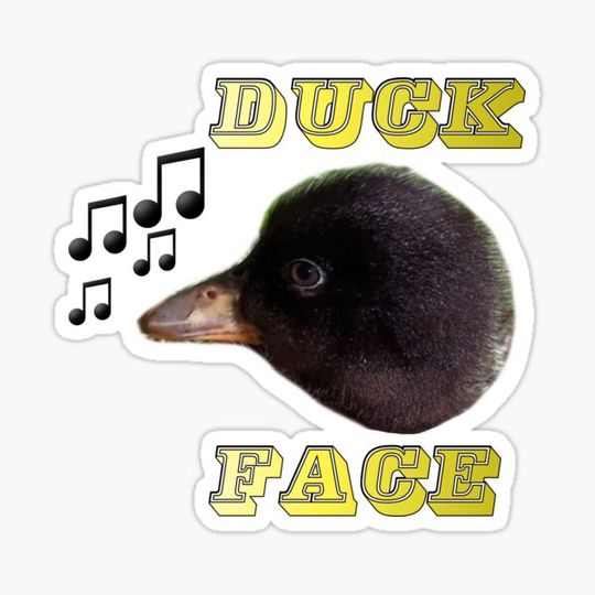 Discover Duck face