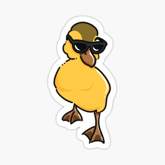 Discover Cute duck