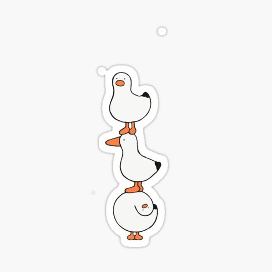 Discover 3 Duck
