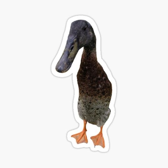 Discover Cool Long Boi Sticker