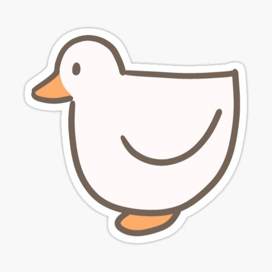 Discover Duck