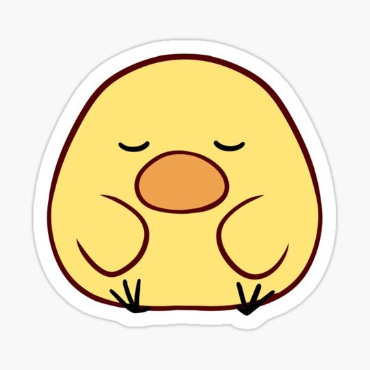Discover Zen Duck