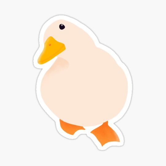 Discover Duck