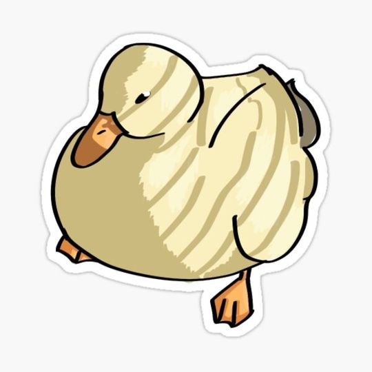 Discover Duck