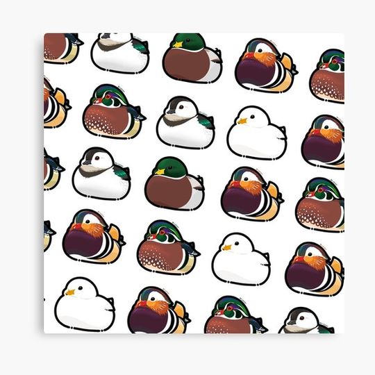 Discover Duck Frenzy!