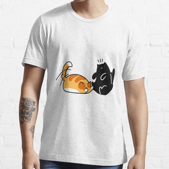 Discover Playful Tabby and Black Cat