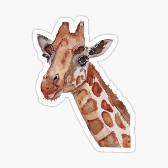 Discover Giraffe