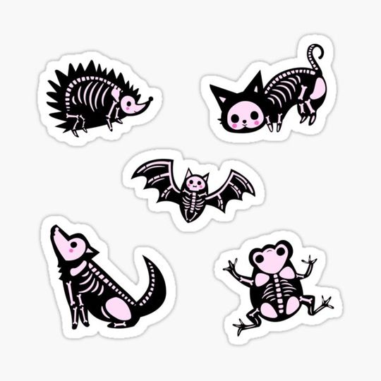 Discover Cute Animal Skeletons