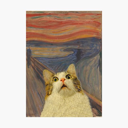 Discover The Meow