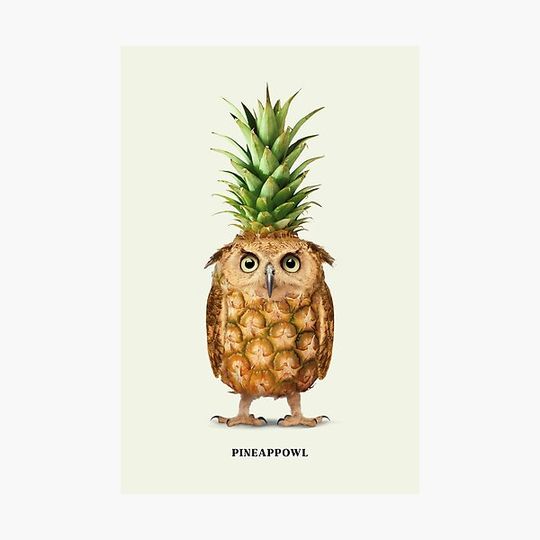 Discover Pineappowl