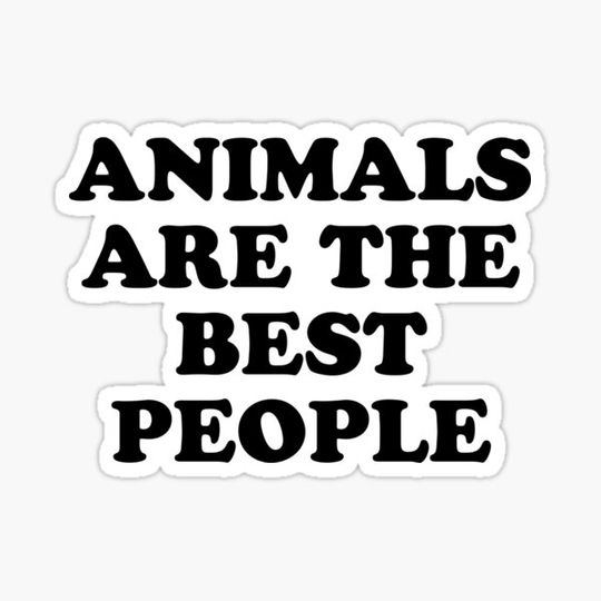 Discover animals are the best people