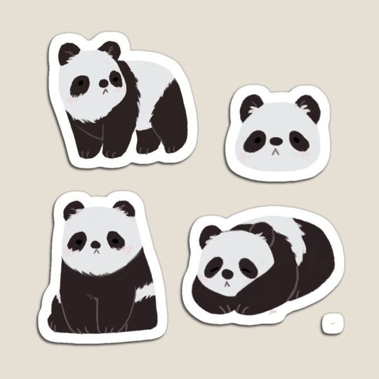 Discover Pandas