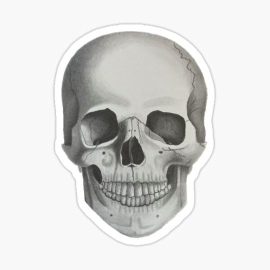 Discover TheSketchySkeleton