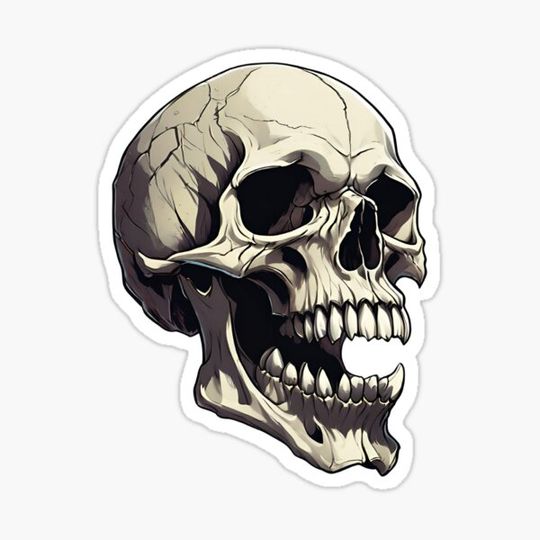 Discover SKULL