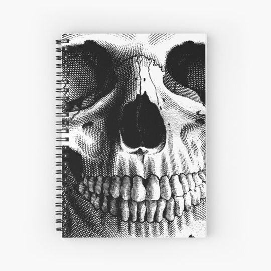 Discover Crosshatch Black and White Skull Pen and Ink Drawing
