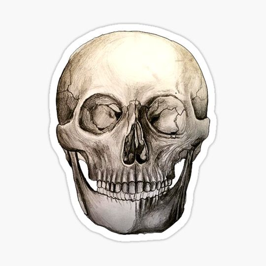 Discover Skull Sticker