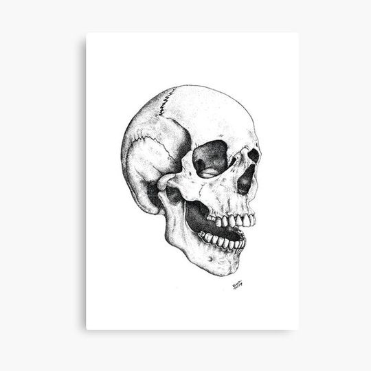 Discover Human Skull Dotwork Illustration