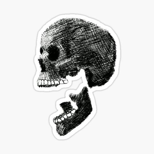 Discover Skull