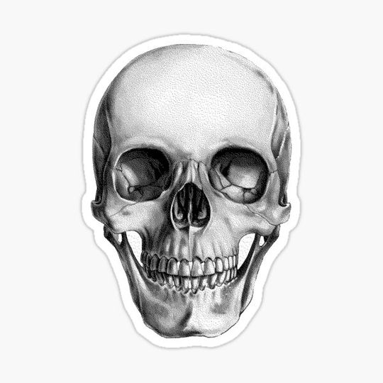 Skull