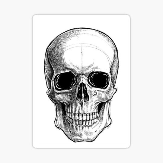 Discover Cool Skull art