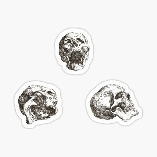 Discover Skull sketch drawing halloween sticker pack