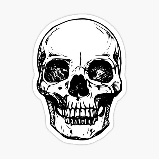 Discover Skull Design